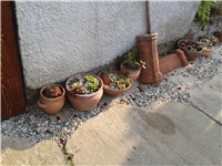 1a577998-2016-07-27 07.36.15.jpg